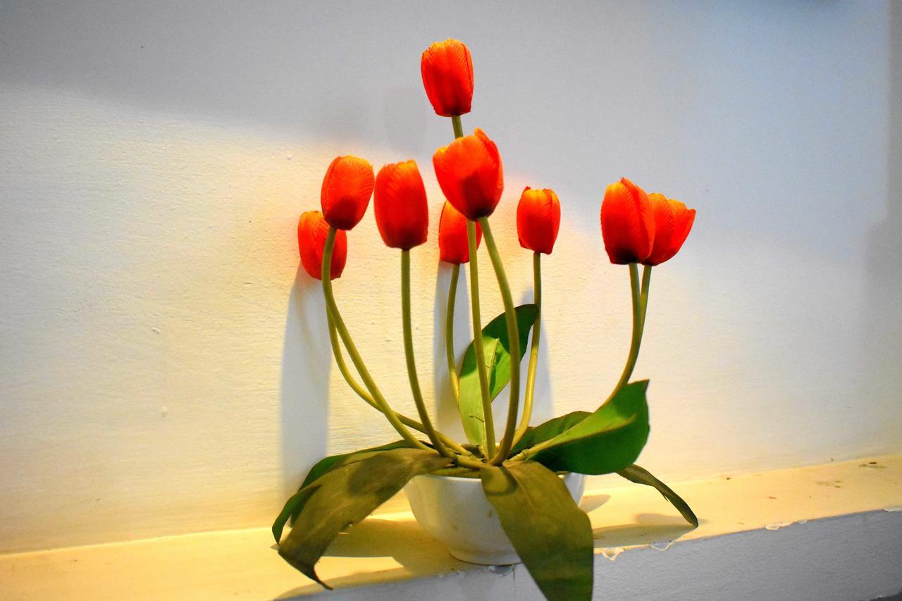 Villa Tulip Garden Анурадхапура Экстерьер фото
